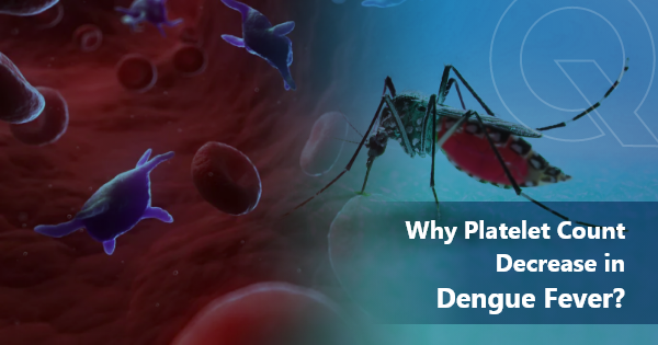 Dengue & Platelet Count: When to Worry
